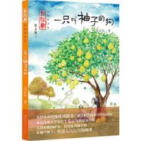 红辣椒书系·一只叫柚子的狗 9787556207022 正版 毛云尔著 湖南少年儿童出版社