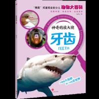 神奇的放大镜 牙齿 9787545540369 正版 安东尼 著 天地出版社