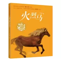 火烈马 9787537695404 正版 袁博 河北少年儿童出版社