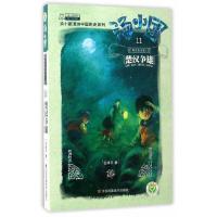 汤小团.11,两汉传奇卷.3--楚汉争霸 9787558006395 正版 谷清平 江苏凤凰美术出版社