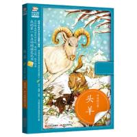 头羊 9787514348453 正版 许廷旺 现代出版社