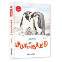 冰山下的精灵王国 9787550507760 正版 赵长发 大连出版社