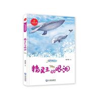 精灵王的眼泪 9787550507777 正版 赵长发 大连出版社