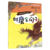 我的动物好朋友--雄鹰金闪子 9787530763742 正版 沈石溪 新蕾出版社