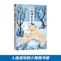 小狐狸买手套 9787501614189 正版 新美南吉 等 天天出版社有限责任公司