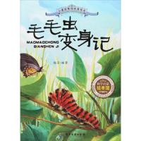 毛毛虫变身记 9787557009571 正版 广东旅游出版社