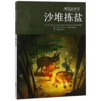 沙堆拣盐 9787546175294 正版 刘波 黄山书社