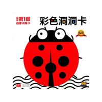 彩色洞洞卡 9787510127809 正版 路得 著 中国人口出版社