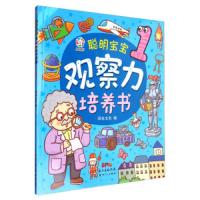 观察力培养书 9787558302725 正版 风车文化 新世纪出版社