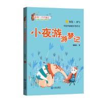 星期八心灵童话-小夜游游梦记 9787550511620 正版 张菱儿 大连出版社