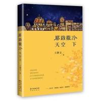 耶路撒冷天空下 9787536082915 正版 王静文 花城出版社