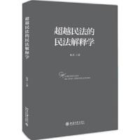 超越民法的民法解释学 9787301292884 正版 税兵 北京大学出版社