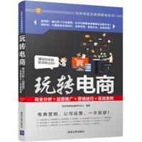 玩转电商:商业分析+运营推广+营销技巧+实战案例 9787302472216 正版 海天电商金融研究中心 清华大学出版社