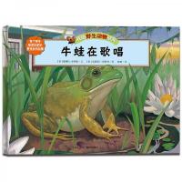 牛蛙在歌唱 9787533278243 正版 紫岫