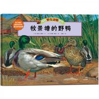 牧景塘的野鸭 9787533278274 正版 紫岫