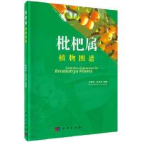 枇杷属植物图谱 9787030493460 正版 林顺权,吕秀兰,刘月学 科学出版社