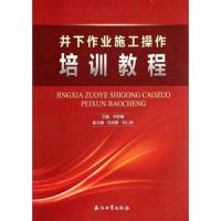 井下作业施工操作培训教程 9787502199968 正版 辛舒臻