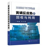 黄磷反应热的回收与利用 9787122236562 正版 梅毅,宁平 著 化学工业出版社