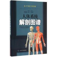 人体系统解剖图谱(医学教学图谱) 9787547826737 正版 陈金宝,刘强 编 上海科学技术出版社