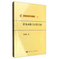 计算方法丛书 样条函数与计算几何 9787030254467 正版 孙家昶著 科学出版社