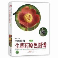 中国民间生草药原色图谱(下) 9787535960344 正版 潘超美 广东科技出版社