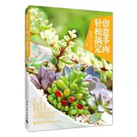 创意多肉轻松搞定 9787121246203 正版 慢生活工坊 编著 电子工业出版社