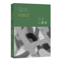 三个三重奏 9787532166725 正版 宁肯 上海文艺出版社