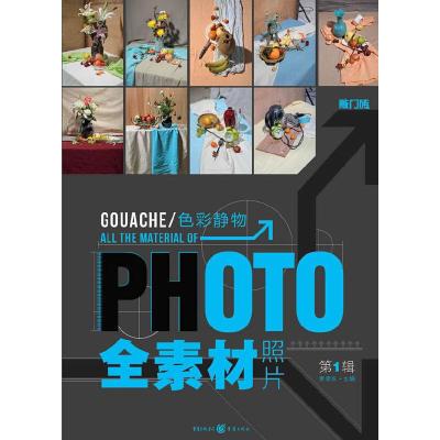 敲门砖 色彩静物photo全素材照片 9787229077778 正版 李家友 重庆出版集团