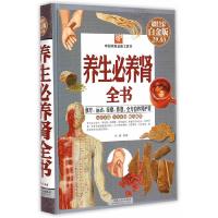 养生必养肾全书(*全彩白金版)(精)/中国家庭必备工具 9787546621395 正版 孙静　编 新疆人民总社