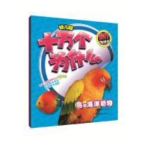 鸟和海洋动物 9787553478678 正版 英童书坊编纂中心 吉林出版集团有限责任公司