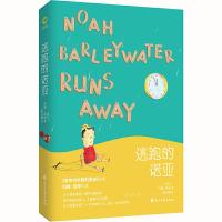 逃跑的诺亚(精) 9787807559764 正版 (爱尔兰) 约翰·伯恩 著,新华先锋 出品 花山文艺