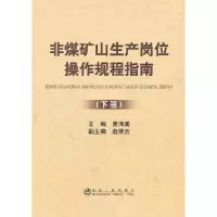 非煤矿山生产岗位操作规程指南(下) 9787502460471 正版 黄海嵩 编 冶金工业出版社