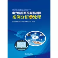 电力信息系统典型故障案例分析与处理 9787512385016 正版 国网河南省电力公司信息通信公司 中国电力出版社