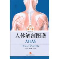 人体解剖图谱 9787547822173 正版 高士濂,于频 主编 上海科学技术出版社