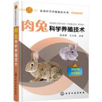 畜禽科学养殖致富丛书--肉兔科学养殖技术 9787122327093 正版 张自强,王玉琴 主编 化学工业出版社