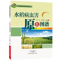 水稻病虫害原色 9787534983665 正版 彭红 河南科学技术出版社
