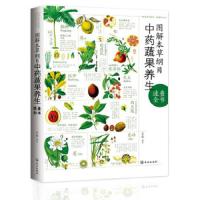 图解本草纲目中药蔬果养生速查全书 9787543053946 正版 李健 著 武汉出版社