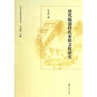 唐代临淄段氏家族文化研究 9787101094497 正版 许智银　著 中华书局