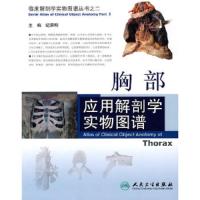 胸部应用解剖学实物图谱/临床解剖学实物图谱丛书 9787117125697 正版 纪荣明 人民卫生出版社