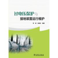 过电压保护与接地装置运行维护 9787512362697 正版 李谦,肖磊石 编著 中国电力出版社