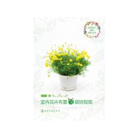 室内花卉布置与栽培指南 9787122286963 正版 徐帮学 编 化学工业出版社