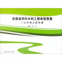 安徽省农村水利工程典型图集 八小水利工程分册 9787312039225 正版 张肖 中国科学技术大学出版社
