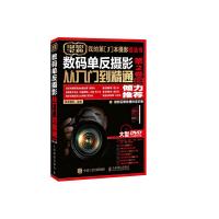 数码单反摄影从入门到精通 第2卷 第2版 9787115420213 正版 神龙摄影 人民邮电出版社