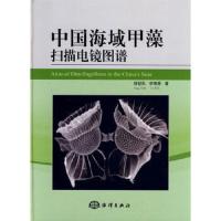 中国海域甲藻扫描电镜图谱 9787502787981 正版 杨世民,李瑞香 著 海洋出版社