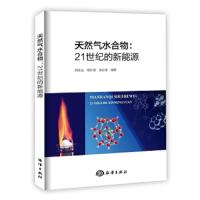 天然气水合物-21世纪的新能源 9787502797829 正版 刘玉山,祝有海,吴必豪 海洋出版社