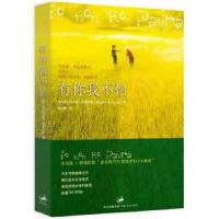 有你我不怕 9787208072022 正版 (意)阿曼尼提 著,陈义隆 译 上海人民出版社