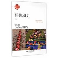 群体动力 9787303219896 正版 孙晓敏 北京师范大学出版社