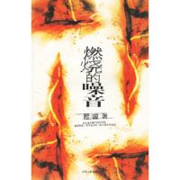 燃烧的噪音 9787214036698 正版 中国法制出版社