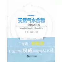 天然气水合物 能燃烧的冰 9787307103658 正版 肖钢,白玉湖 编著 武汉大学出版社