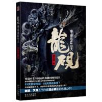 龙砚(绝命追踪83天) 9787221108678 正版 澹台镜 贵州出版集团